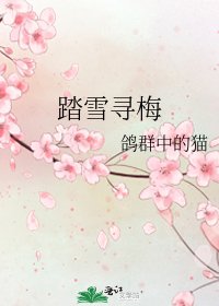 《踏雪寻梅》
