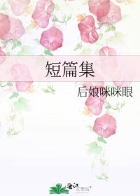 《短篇集》