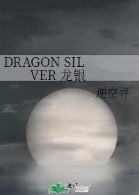 《DRAGON SILVER 龙银》