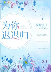 《为你迟迟归》