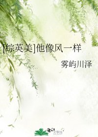 [综英美]他像风一样