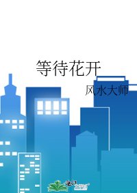 《等待花开》