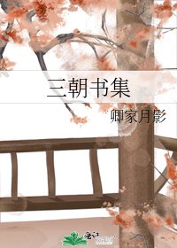 《三朝书集》