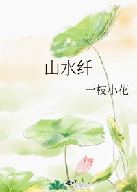 《山水纤》