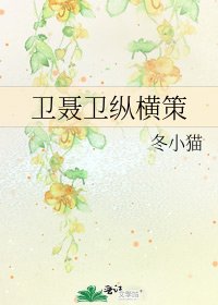 《卫聂卫纵横策》