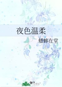 《夜色温柔》