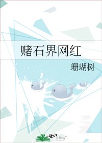 《赌石界网红》