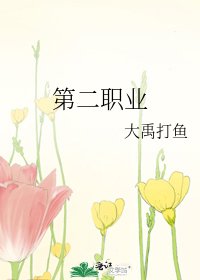 《第二职业》