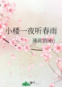 《小楼一夜听春雨》