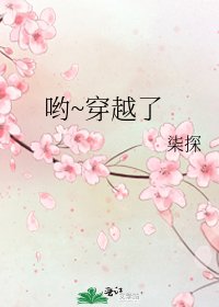《哟~穿越了》