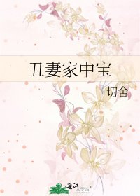 《丑妻家中宝》