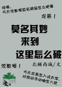 《(镇魂同人)莫名其妙来到这里怎么破》