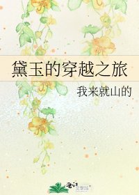 《黛玉的穿越之旅》