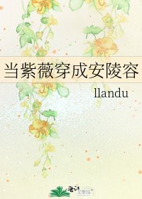 《当紫薇穿成安陵容》