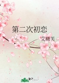 《第二次初恋》