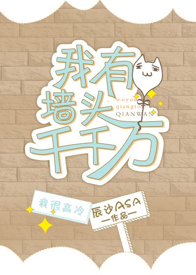 《我有墙头千千万》