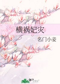 《横祸妃灾》