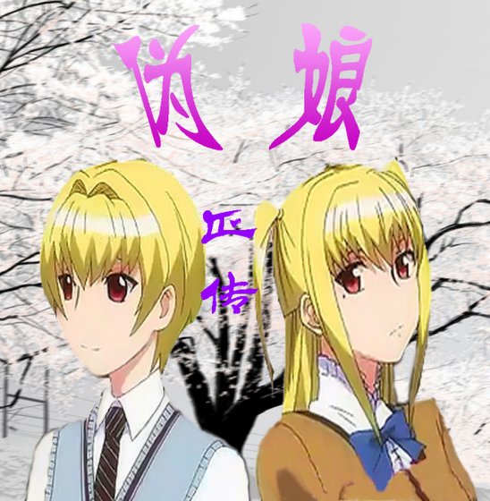《伪娘正传》