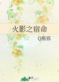 《火影之宿命》