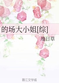 （综同人）的场大小姐[综]