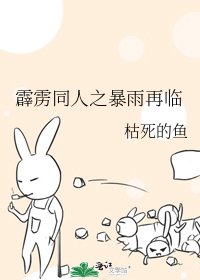 《霹雳同人之暴雨再临》