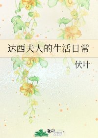 《达西夫人的生活日常》
