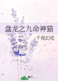 《盘龙之九命神猫》