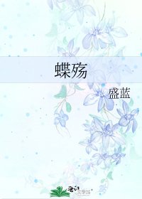 《蝶殇》