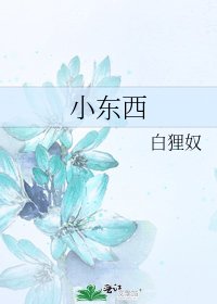 《小东西》