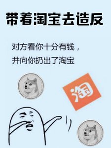 《带着淘宝去造反》