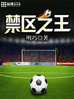 《禁区之王》