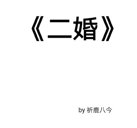 《二婚》