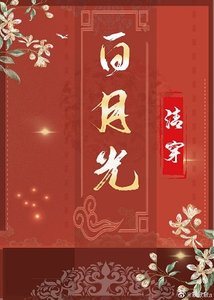 清穿之白月光(穿书)