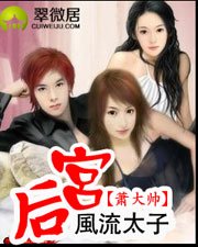 《风流太子后宫》