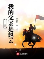 《(三国同人)三国:我的父亲是赵云》