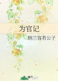 《为官记》
