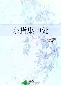 《杂货集中处》