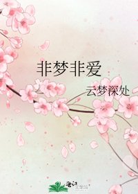《非梦非爱》