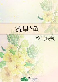 流星*鱼