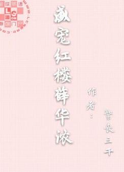 《盛宠红楼薛华浓》