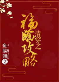 《清穿之贵妃攻略》