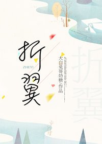 《折翼》