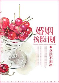 《婚姻挽救计划》
