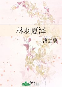 林羽夏泽