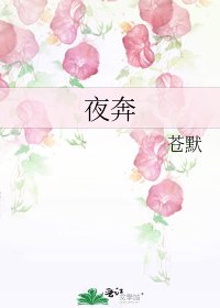 《夜奔》