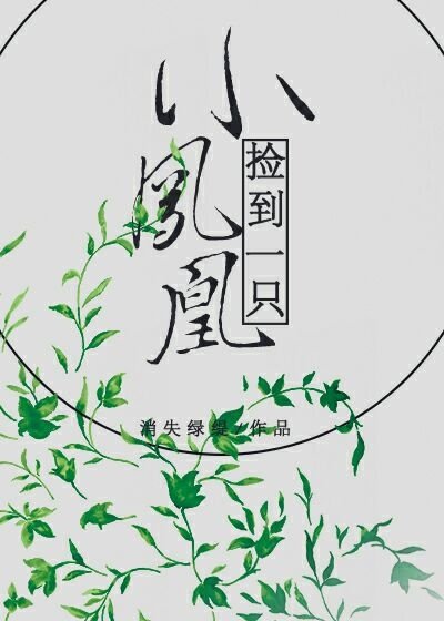 《捡到一只小凤凰》