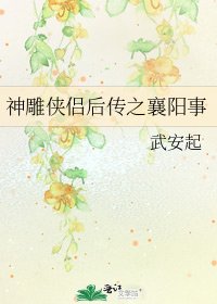 《神雕侠侣后传之襄阳事》