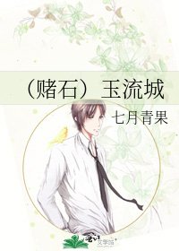 《(赌石)玉流城》