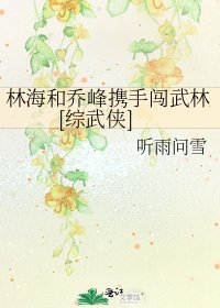 林海和乔峰携手闯武林[综武侠]