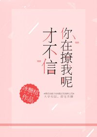 《才不信你在撩我呢》
